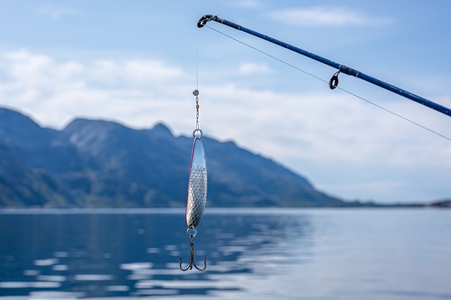 A Guide to Selecting the Right Fishing Hooks for Different Bait and Fish Species